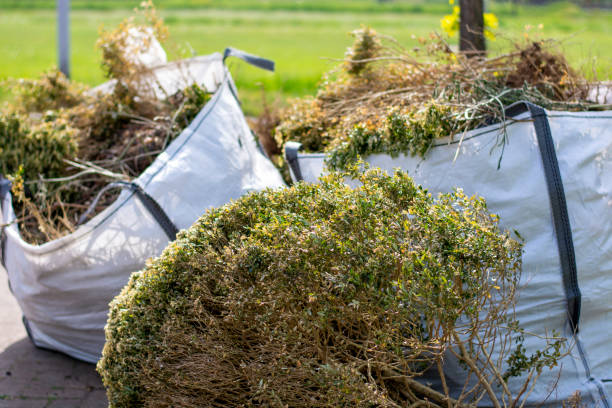 Professional Junk Removal Services in Henagar, AL